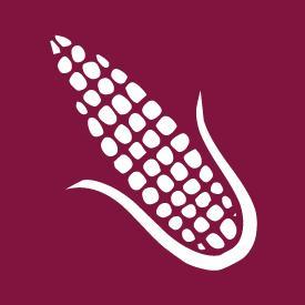 ArepazoTO's profile picture. Venezuelan Arepas & Street Foods in Kensington Market at 181 Augusta Ave.
Delivery 647.472.1011