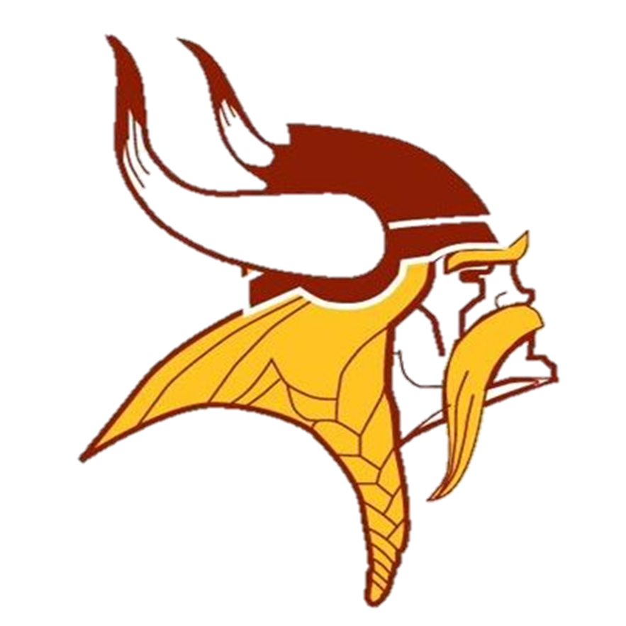 MVVikings Profile Picture