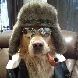 cryptostud Profile Picture