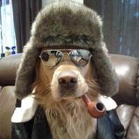 ° Pattern_Juggled ° (@cryptostud) 's Twitter Profile