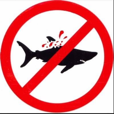 stop killing the sharks