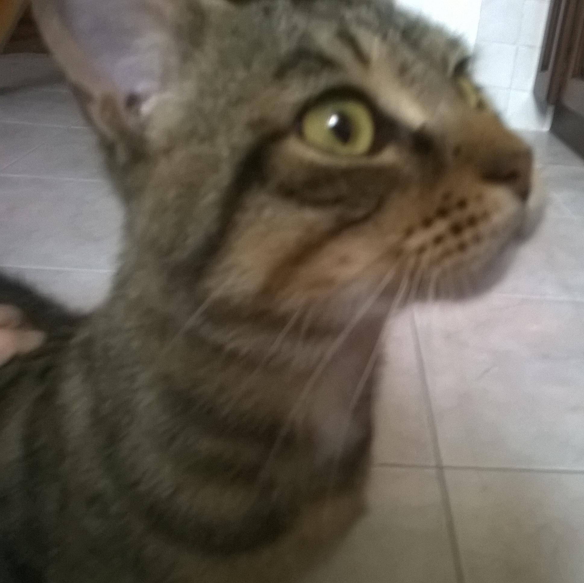 helysHeli's profile picture. Sempre felice con te e gli altri perchè nn sono mai emotiva........parole sagge