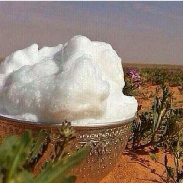 ومافقد الماضون مثل محمد ولامثله حتى القيامه يفقد صلوا عليه وسلموا تسليما