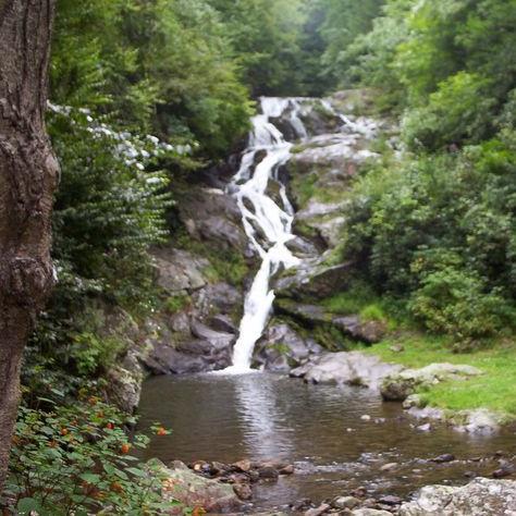 mamachix1's profile picture. 