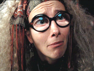 I am the Divination professor at Hogwarts.