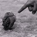 Tito Salgado - @hosalgado - Twitter