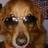 ConjuntoN's profile image