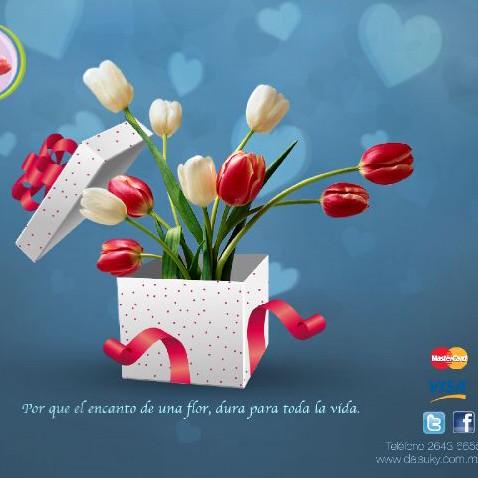 Daisuky | Espacio Floral! Colores, texturas, aromas, sentimientos! Todo en flores!