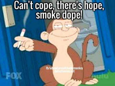 logichost's profile picture. entrepreneur