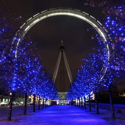 Luke MacGregor Profile