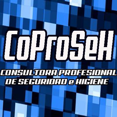 Consultora Profesional de Seguridad e Higiene