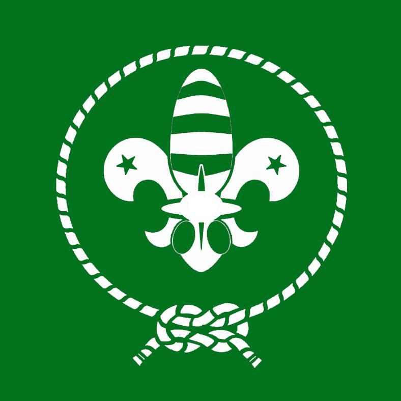 apiculamsc's profile picture. 