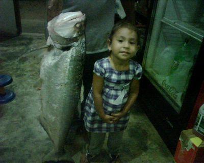 3lp3lon71's profile picture. 