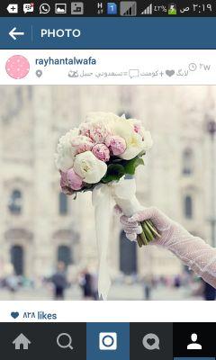 خريجه كيمياء --PCT  ....ولن يتوقف الحلم هنا يوما ما سااخبركم بما حققته من انجازات يشار اليها بالبنان 💕💕💪🏻