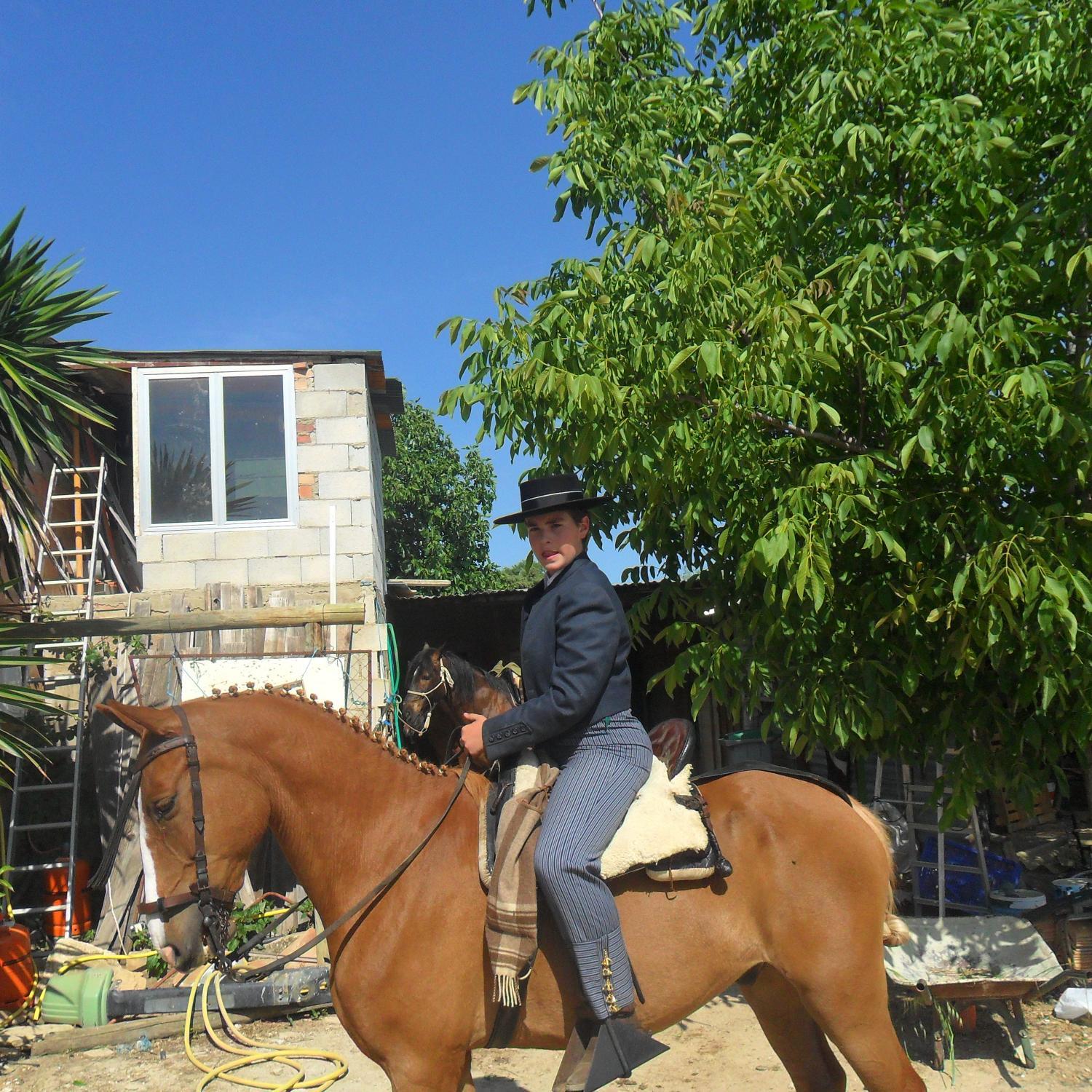 aficionado al caballo