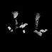 Fangs of Animals (@fangsofanimals) Twitter profile photo