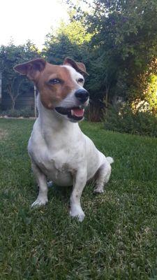 DBarkhuizen's profile picture. 