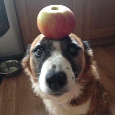 jact79's profile picture. Project manager, long time volunteer youth worker, nystagmite, sailing instructor and occasional train-rage sufferer!