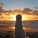 lenkakulikova25's profile picture. 