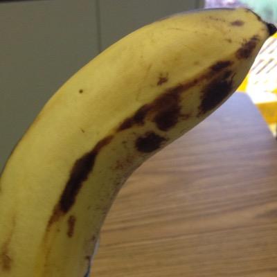dm pictures of people eating b-a-n-a-n-a-s
just trying to brighten peoples day one banana pic at a time