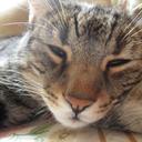 anna gatto - @anna_cat_gatto - Twitter