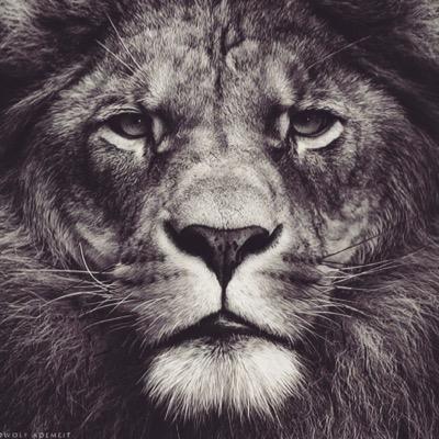 LHAthleticsPT's profile picture. Online Personal Training & Nutrition. Free consultations. Tweet for prices.