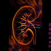 IrishNephrologyNurse (@inna_ireland) 's Twitter Profile