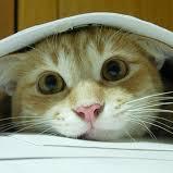 matlise7's profile picture. 