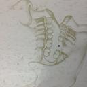 Stuart Conway - @stuartconway10 - Twitter