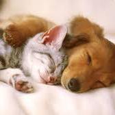 matlise8's profile picture. 