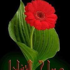 الحب