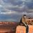 ShepJL's profile image