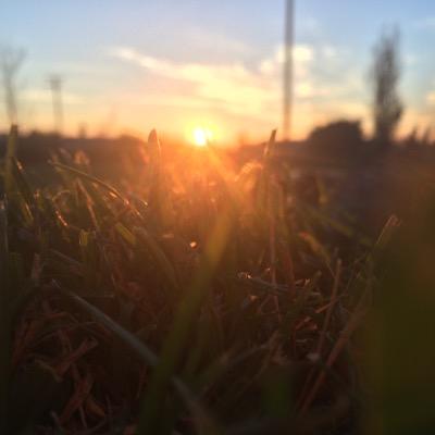 teamaggies2k15 Profile Picture