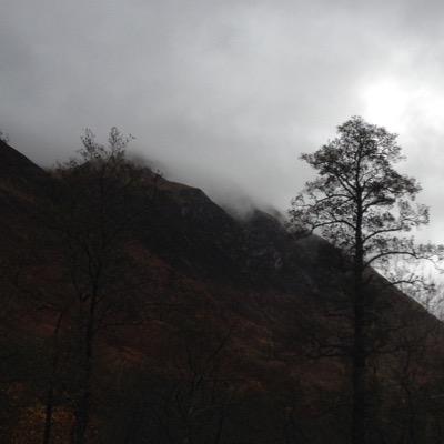 healthy_fittie8's profile picture. Eighteen | Clumsy | Shy | Intersectional feminism | #blacklivesmatter | Mental health awareness advocate