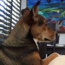 Benji - @JakeAnders27 - Twitter