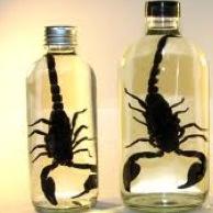 dasfaith's profile picture. 