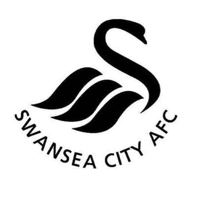 • Swansea City News Page • Find confirmed • News • Comments • Transfers • More • by following us!