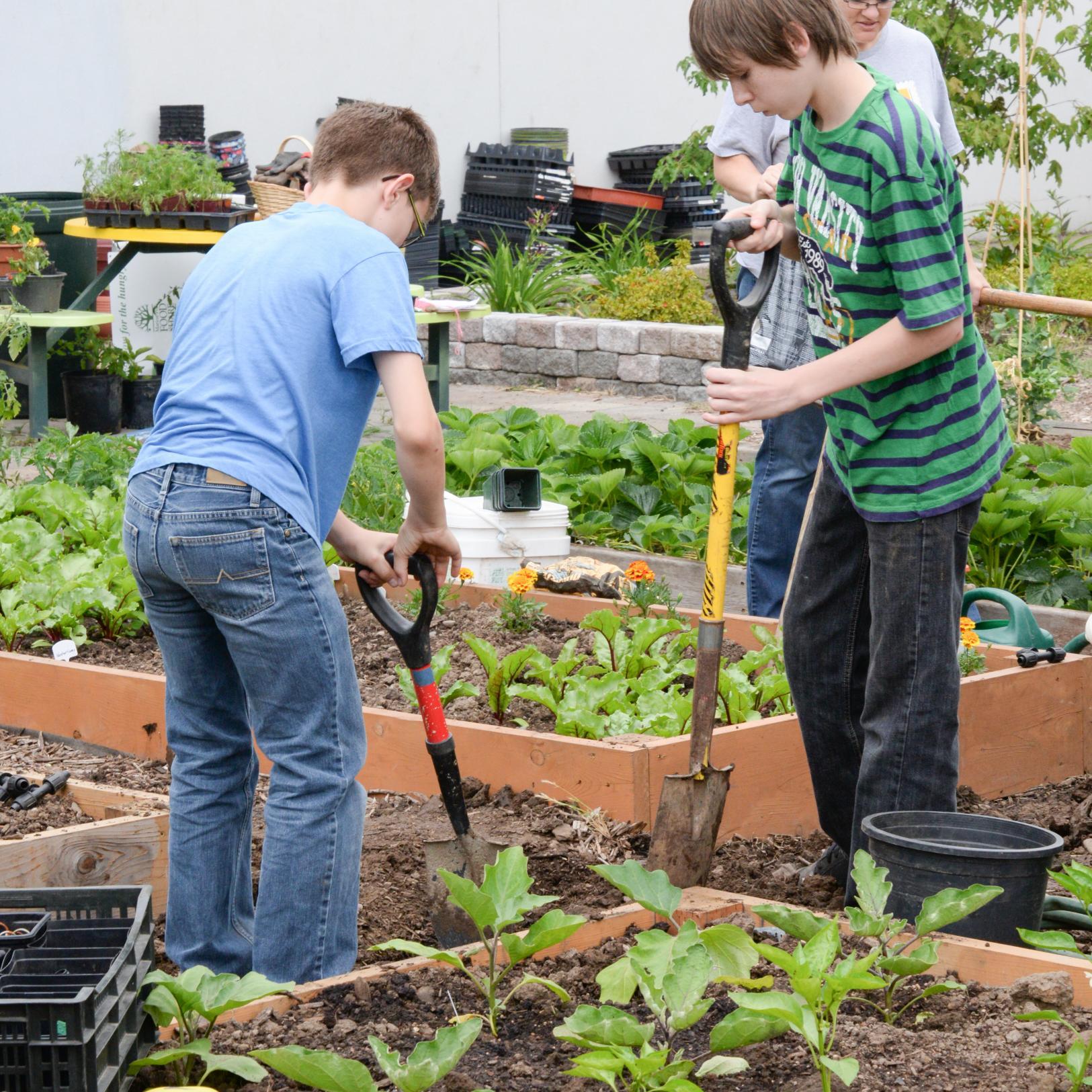 Learning Gardens inspire a sense of environmental stewardship as well as respect for self and others and a desire to strengthen community through growing food.