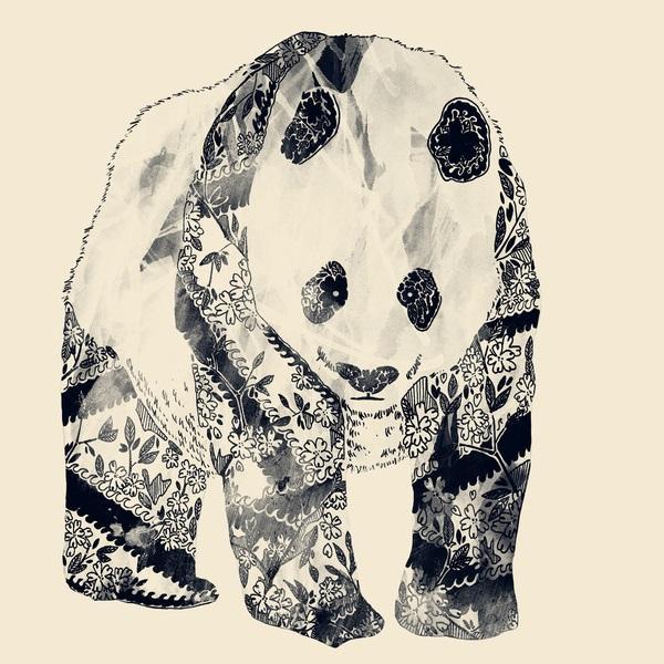 CallistephusC's profile picture. 