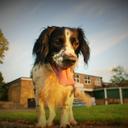 David Bussell - @DavidBussell4 - Twitter