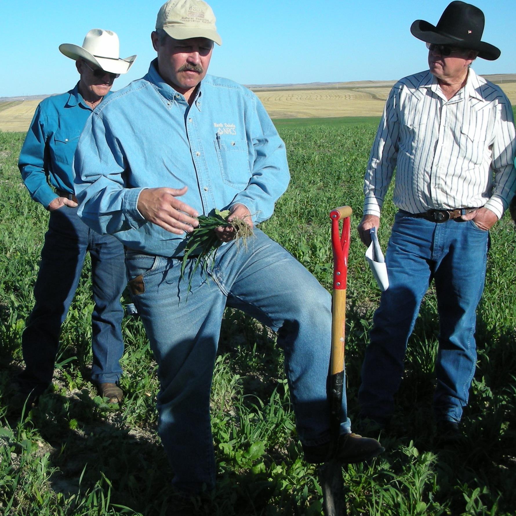 Retired USDA-NRCS Soil Health Instructor and author of: 