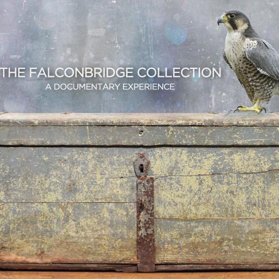 #Documentary meditating on barriers, boundaries and the consequences of losing our connection to the wild as told by a global cast of falconers