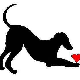 kamas cave greyhound sanctuary. find us on Facebook, https://t.co/FBlMvr4qpB, share your heart and home with a greyhound