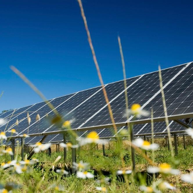 pomonasolar's profile picture. Weve installed 300 kWp of solar PV in Herefordshire funded by community share offers - and we're looking for new rooftops!