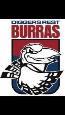 DiggersRestJFNC's profile picture. All Junior Footy & Netballer's Welcome!Auskick,NetSetGo, Boy's & Girl's aged U1O,U12,U14 Boys U16 Football~ 11,13&15&Under Netball.
E.drjfnc@outlook.com