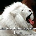 Moises Peralta M - @191519M - Twitter