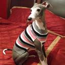 Yolanda Cabrera - @Yoli4d - Twitter