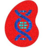 Gitelman Syndrome UK (@gitelmansuk) 's Twitter Profile