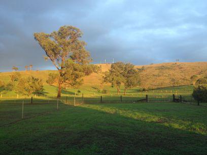 sidkaspa87's profile picture. 