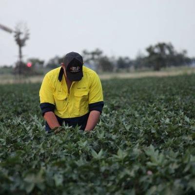 Elms2Tom's profile picture. 